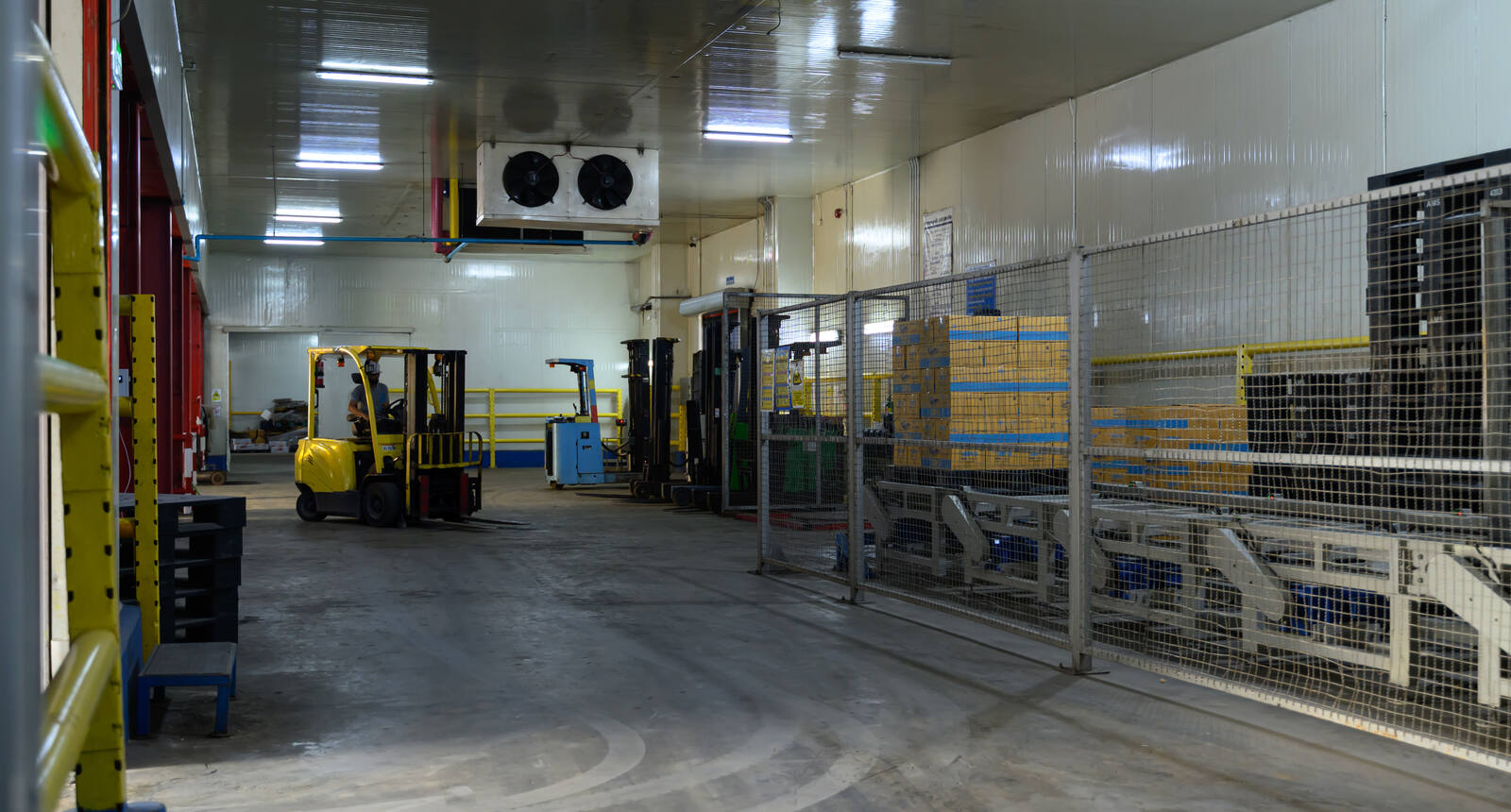 Industrial cold-storage facility with refrigeration evaporators and racking